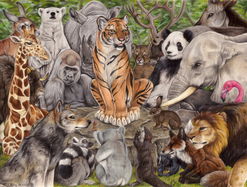 Tiger Surrounded by Animals