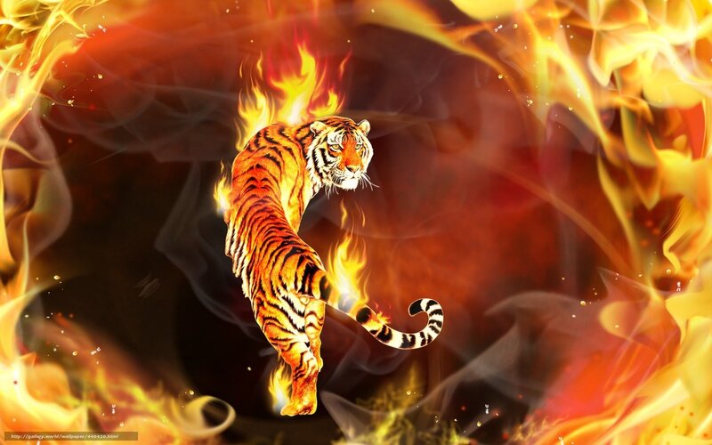 Tiger Surrounded by Fire