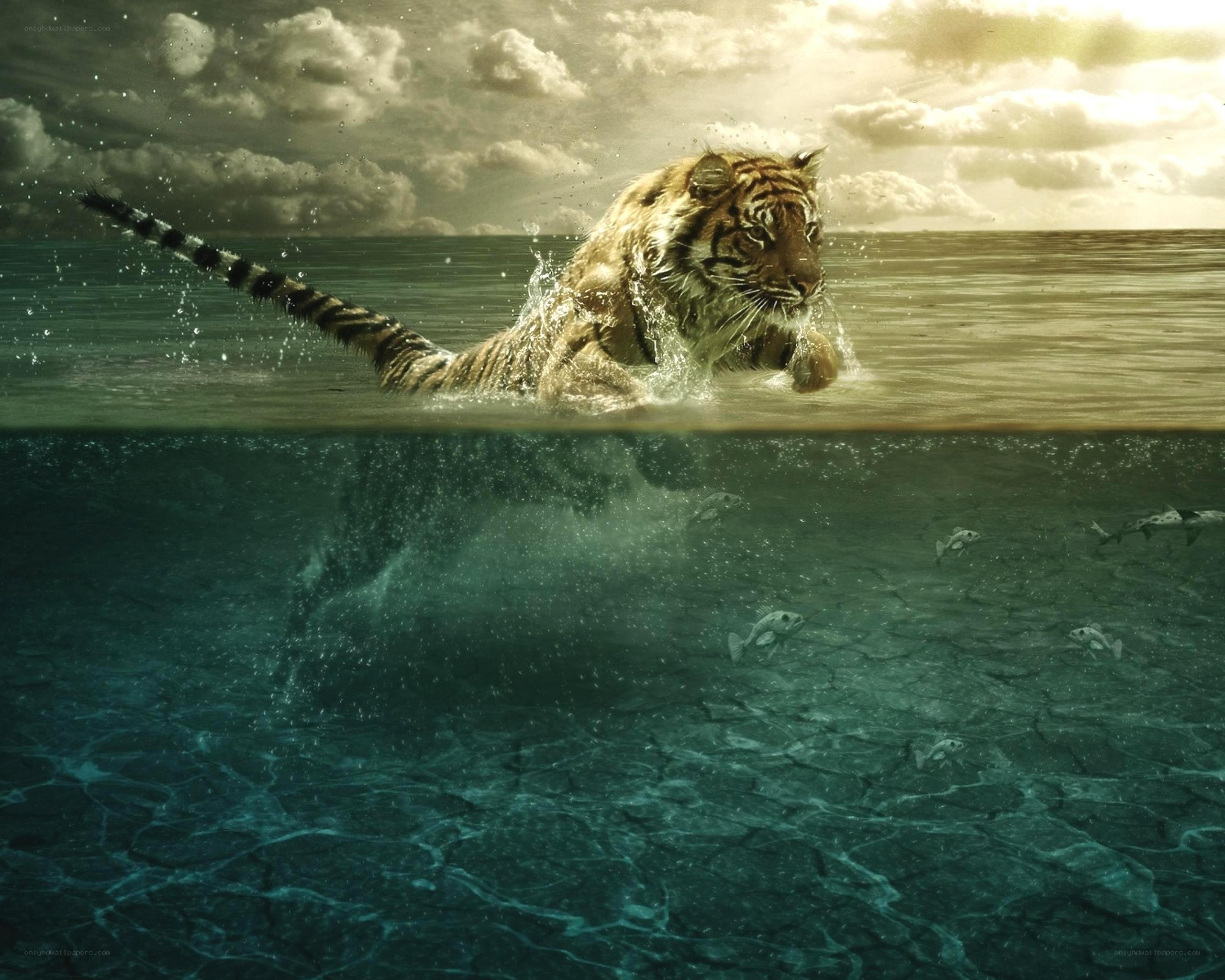 tiger swimming in ocean