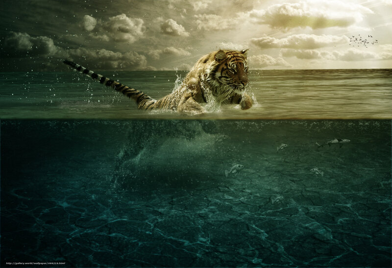 Tiger Swimming in Ocean — Green, Dramatic, Afternoon