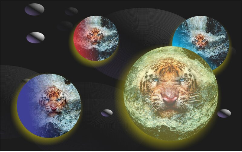 Tiger Swimming in Water — Black, Dramatic