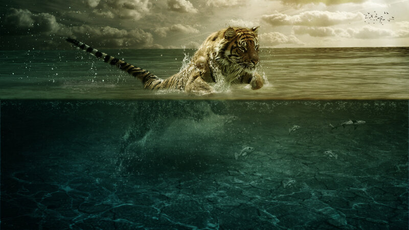 Tiger Swimming in Water — Brown, Dramatic, Afternoon, Digital Art