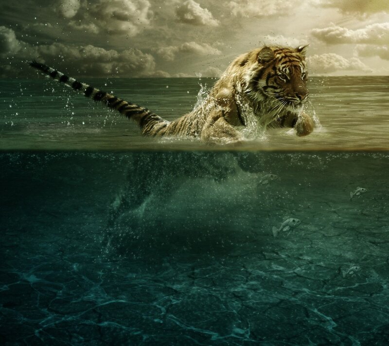 Tiger Swimming in Water — Green, Dramatic, Afternoon