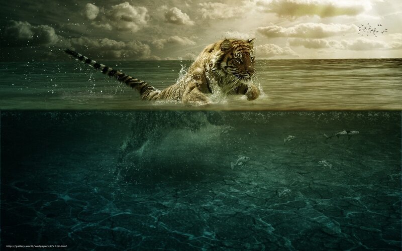 Tiger Swimming in Water — Green, Dramatic, Sunset, Digital Art