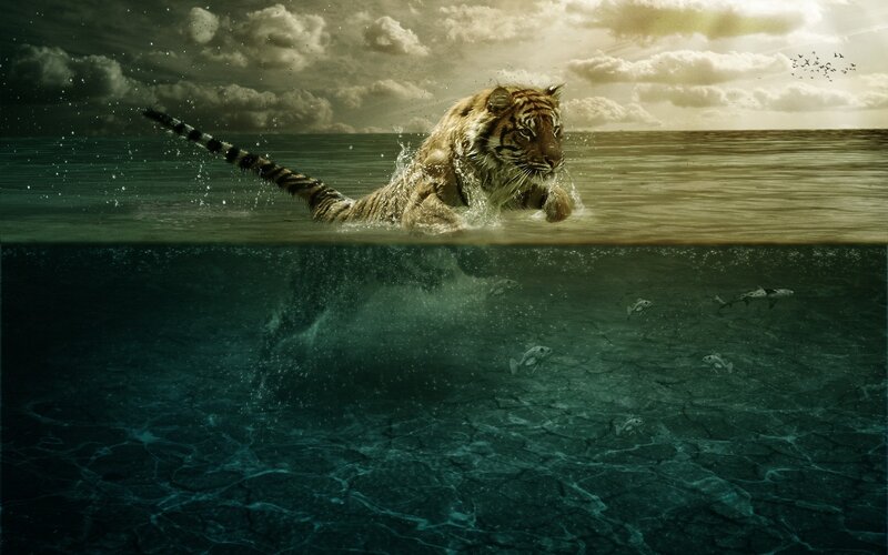 Tiger Swimming in Water — Green, Dramatic, Sunset
