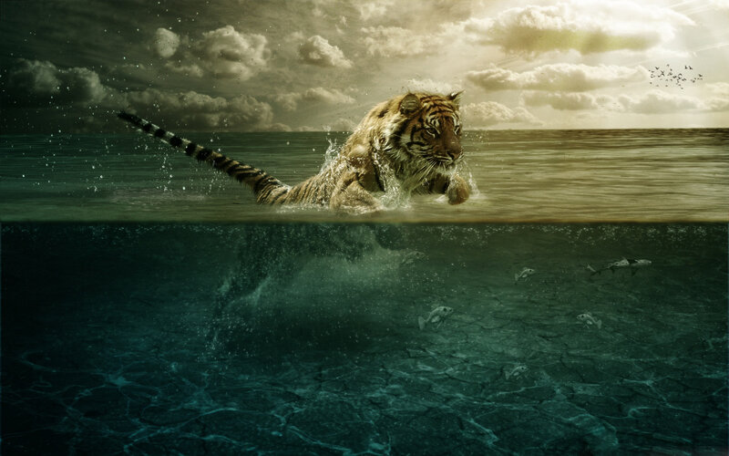 Tiger Swimming in Water — Green, Dramatic