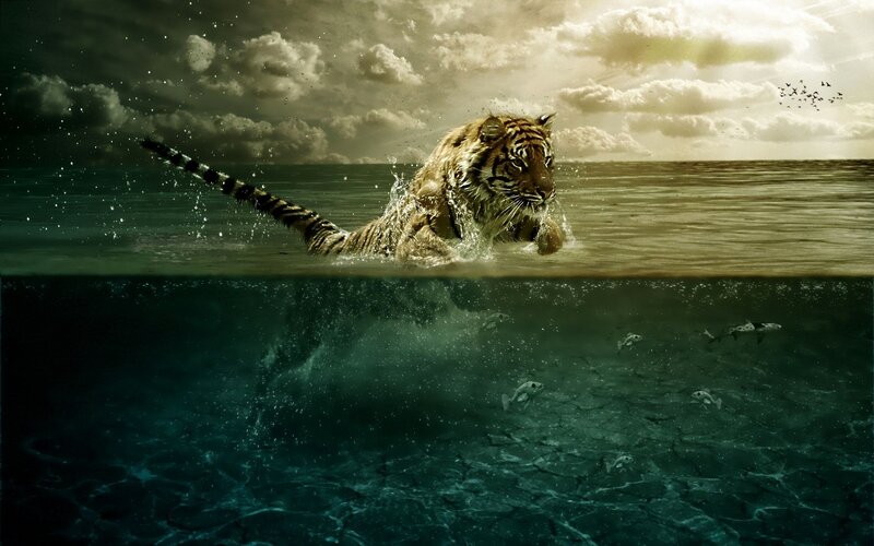 Tiger Swimming in Water — Green