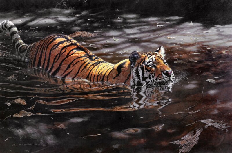 Tiger Swimming in Water — Orange, Calm, Painting, Leaves, Tail