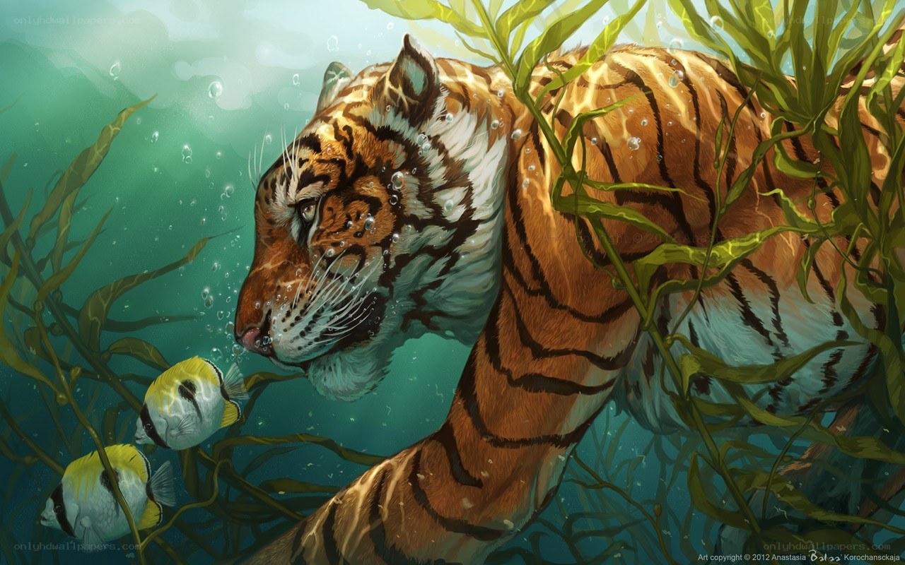 tiger swimming underwater