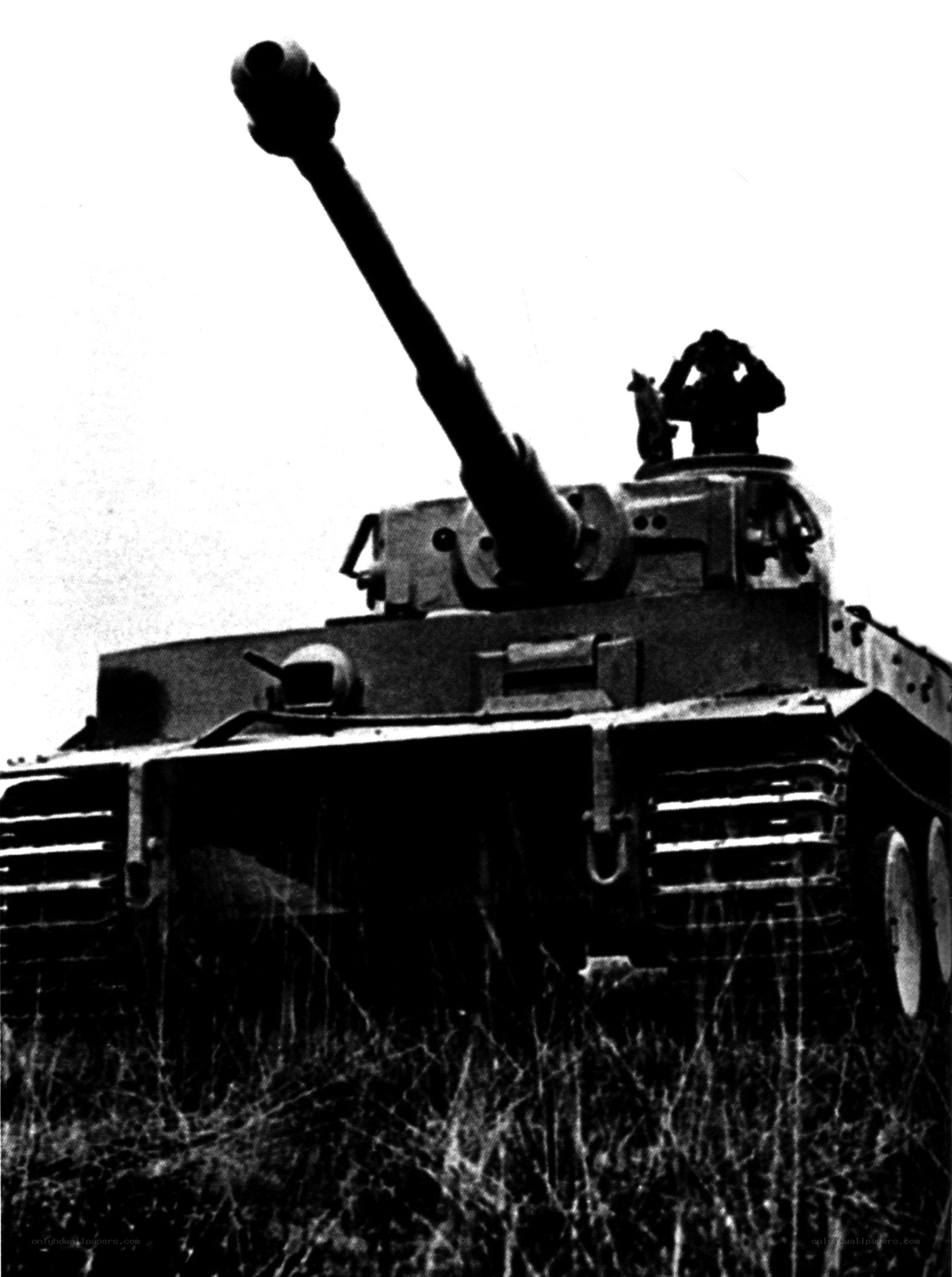 Tiger tank in field