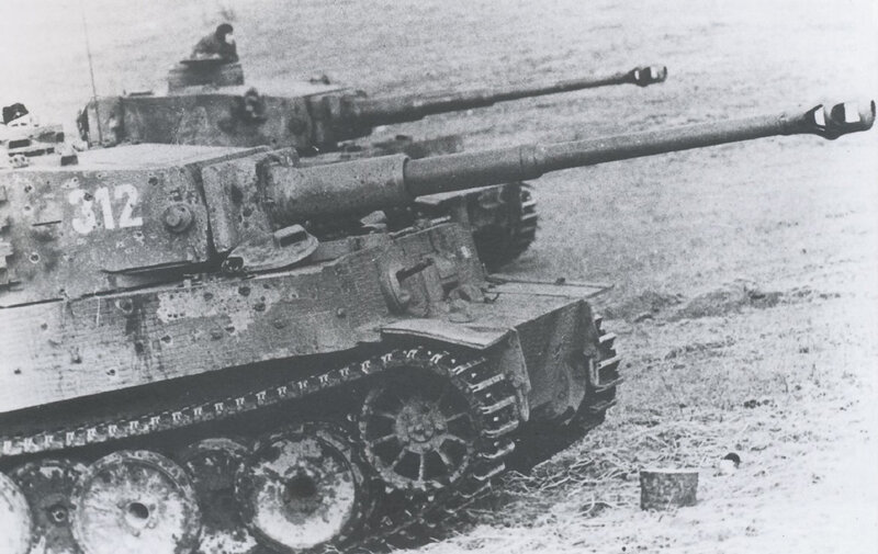 Tiger tanks in field