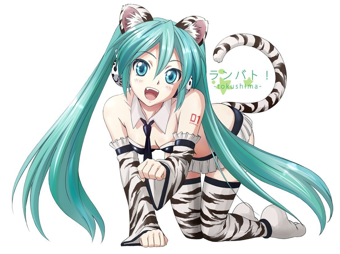 tiger-themed anime character