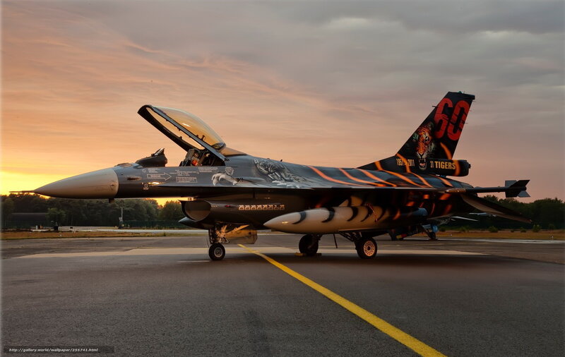 tiger-themed fighter jet at sunset