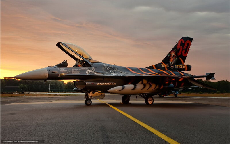Tiger-themed Fighter Jet — Gray, Dramatic