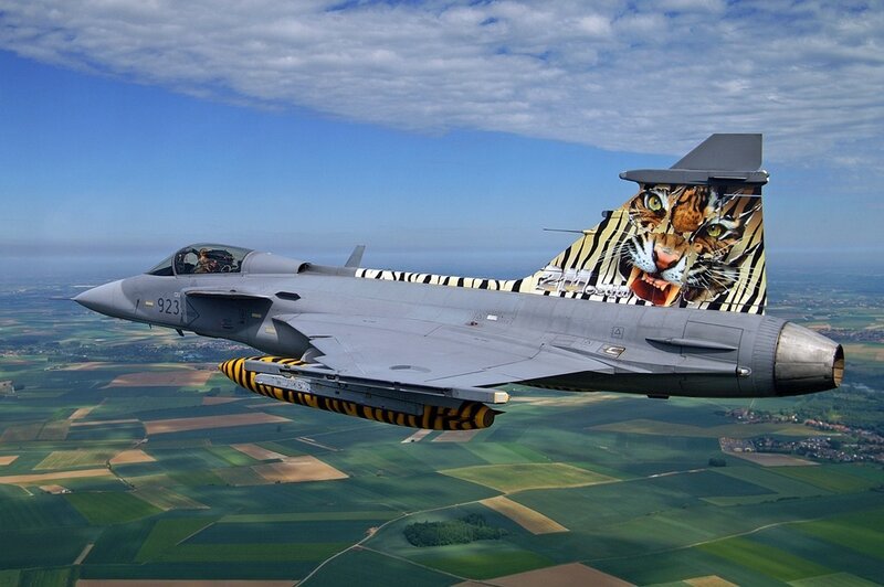 Tiger-themed fighter jet in flight