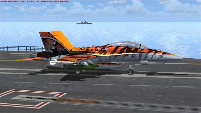 Tiger-themed fighter jet on aircraft carrier