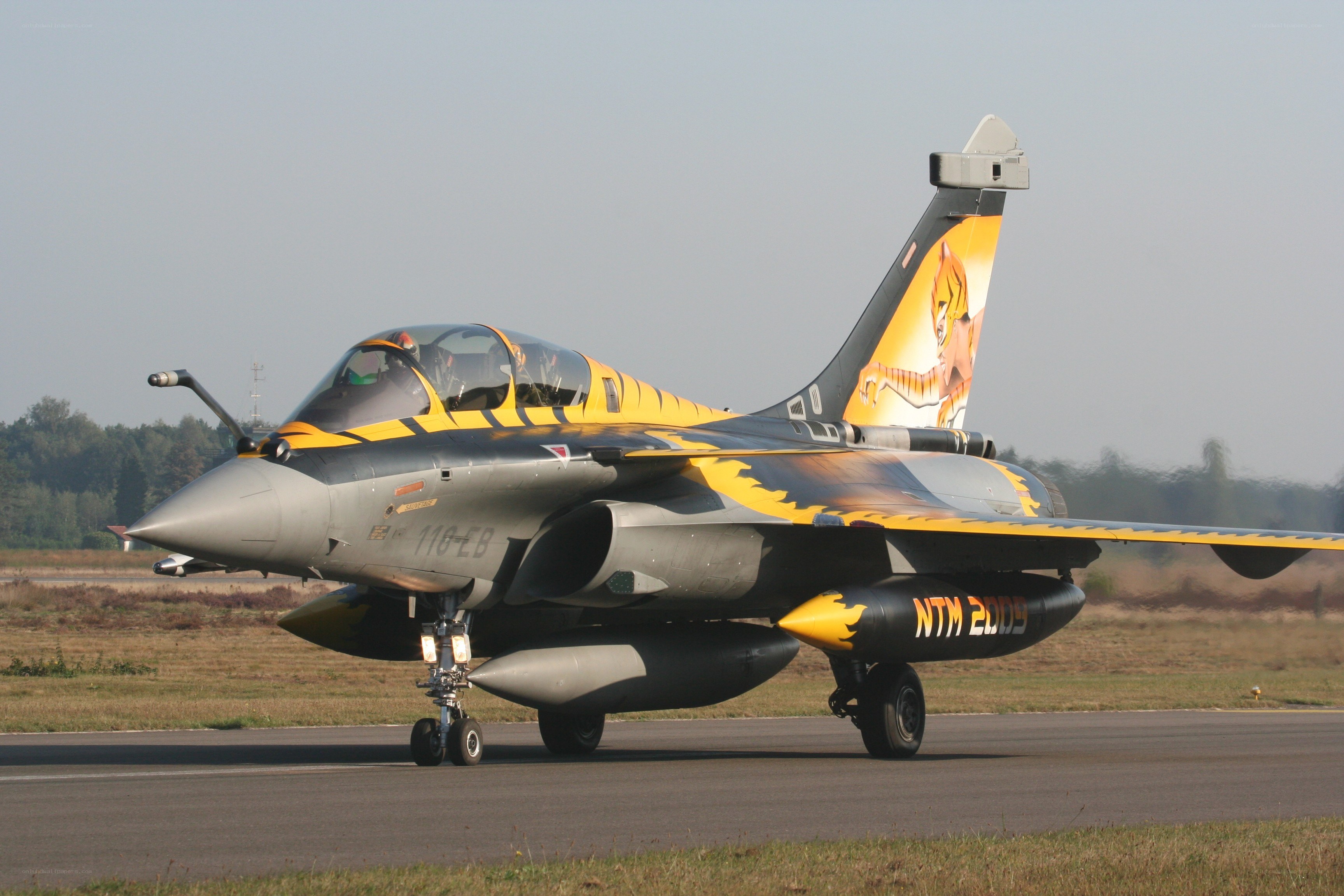 tiger-themed fighter jet on runway