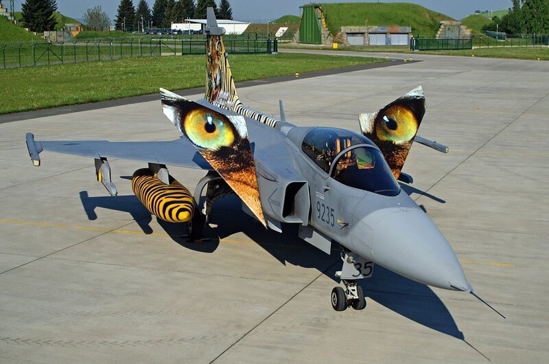 Tiger-themed fighter jet on tarmac