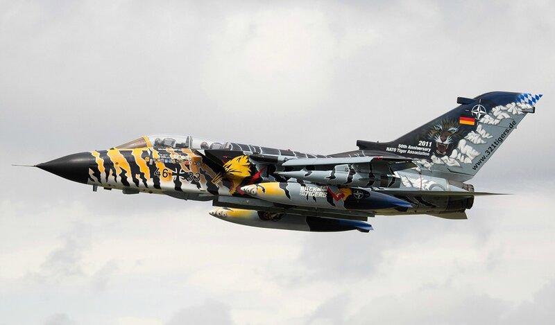 Tiger-themed Jet Fighter — Gray