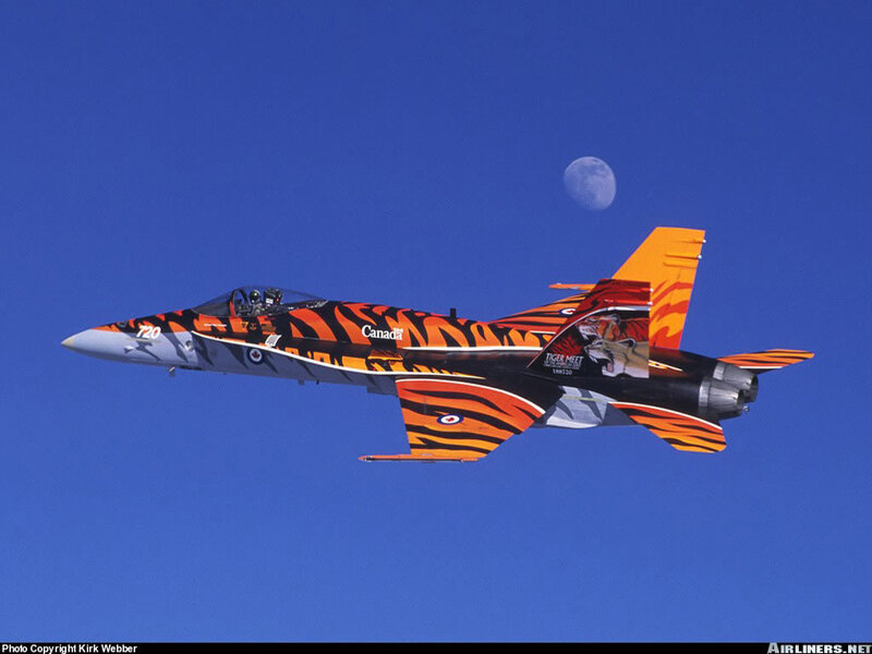 Tiger-themed jet in flight
