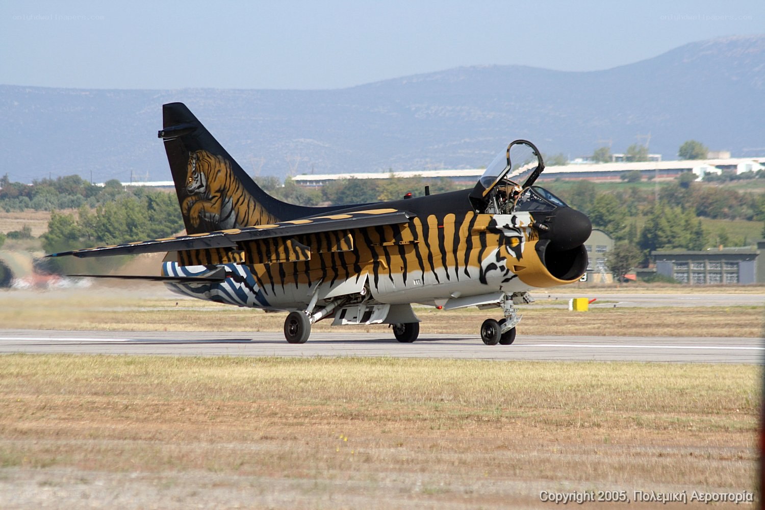 tiger-themed jet on runway