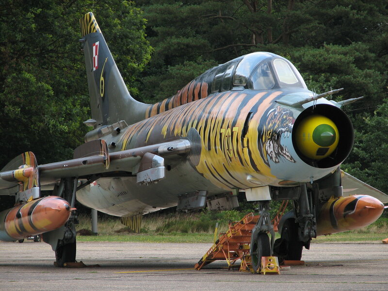 tiger-themed military jet