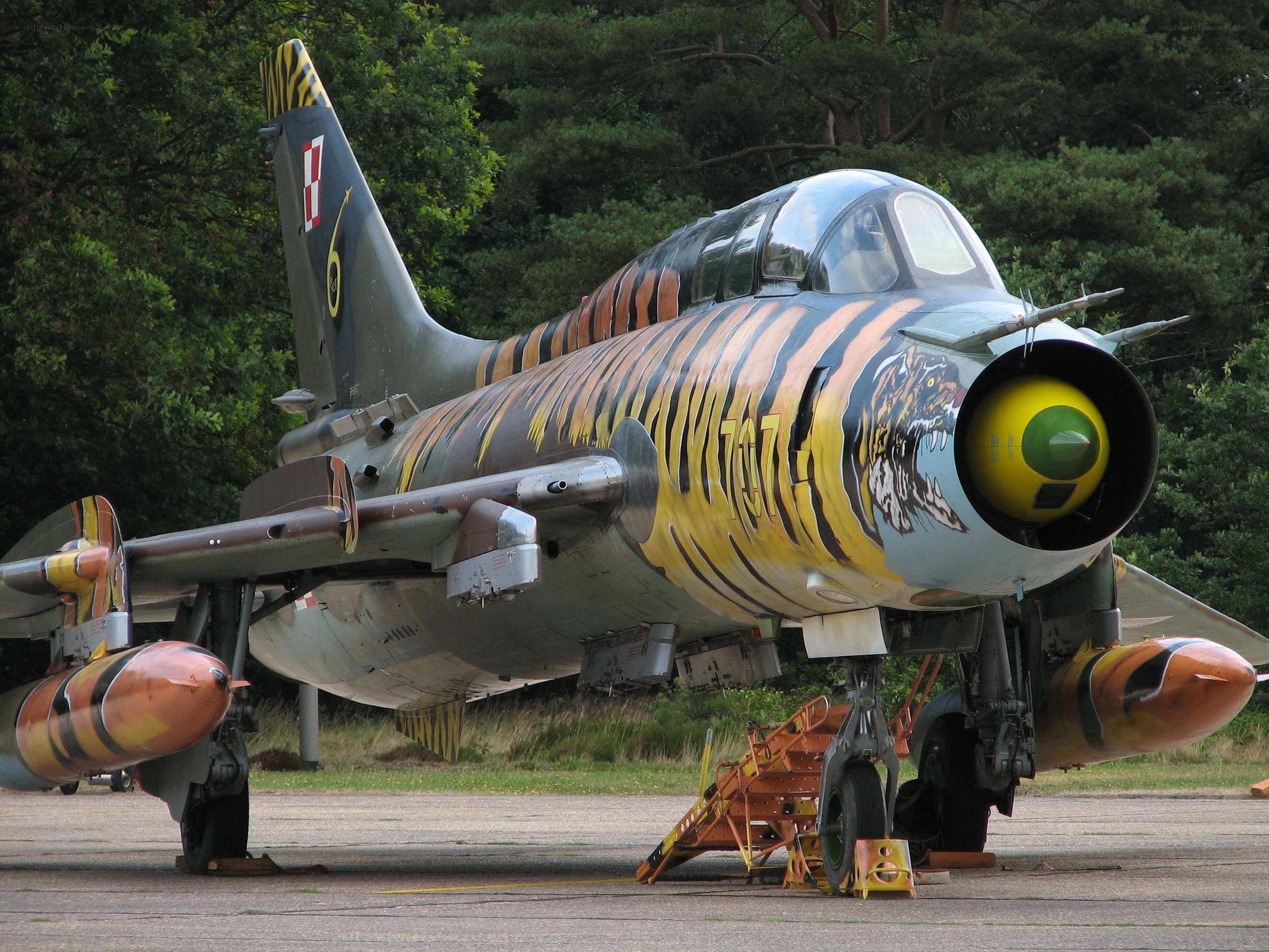 tiger-themed military jet