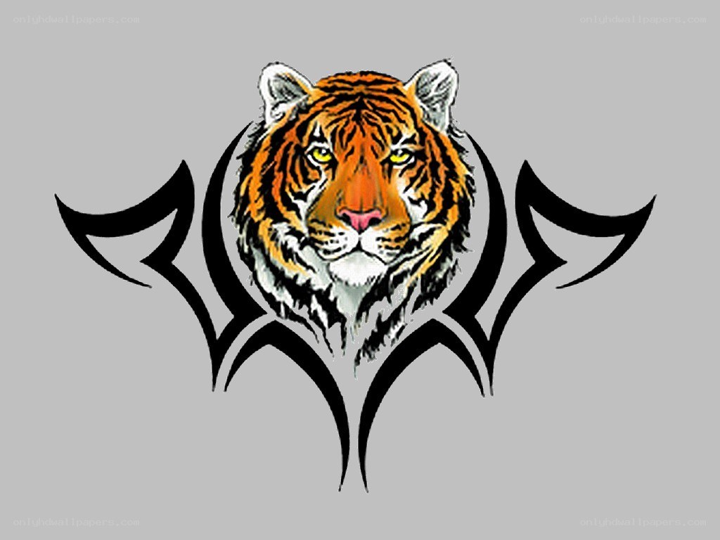 tiger tribal tattoo design