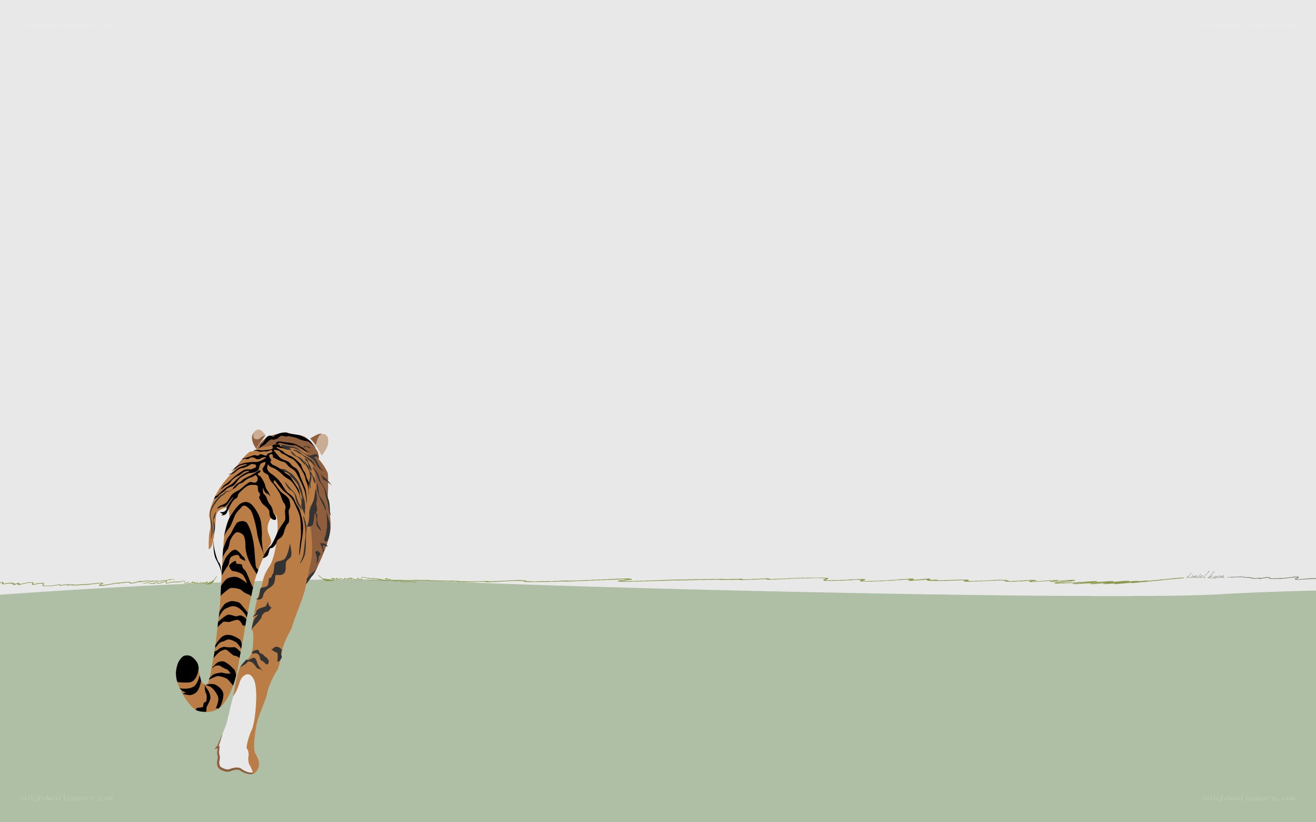 tiger walking away