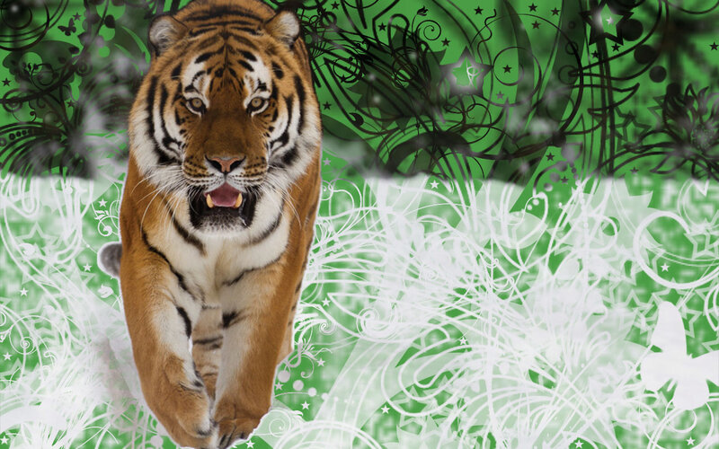 Tiger Walking Forward — Green