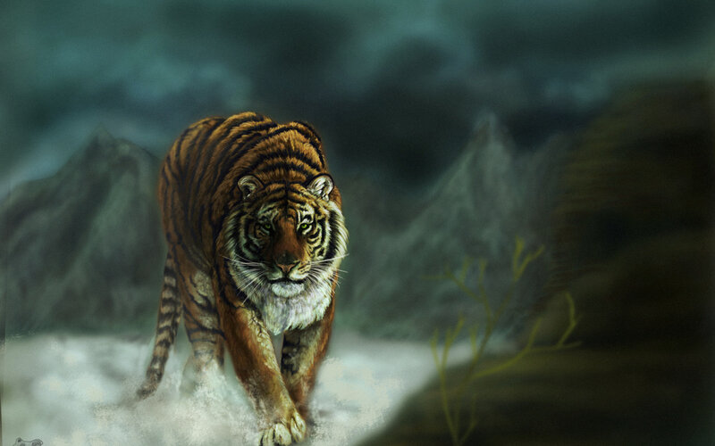 Tiger Walking in Snow — Orange, Dramatic