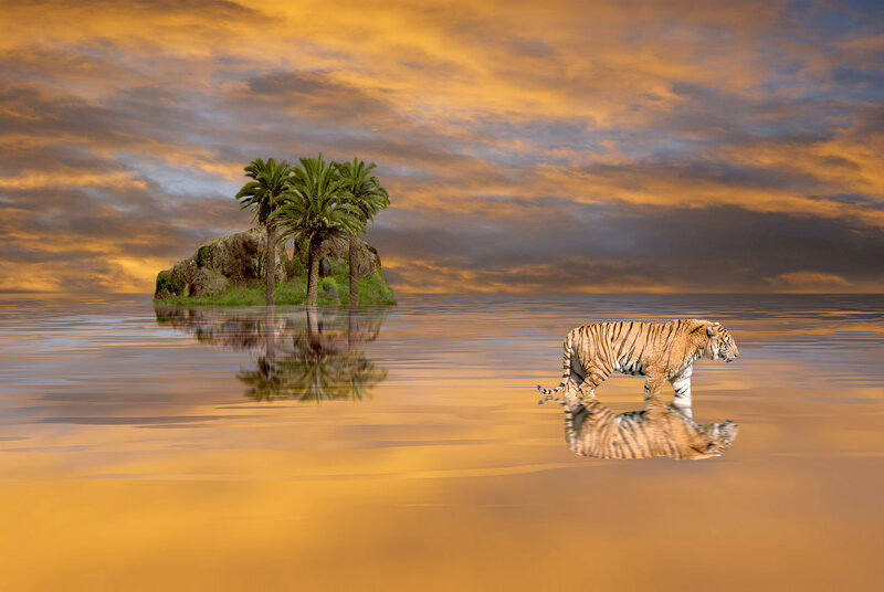 Tiger Walking in Water — Orange, Dramatic, Sunset, Digital Art