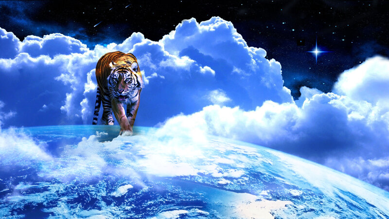 Tiger Walking on Clouds — Blue