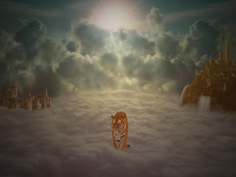 Tiger Walking on Clouds