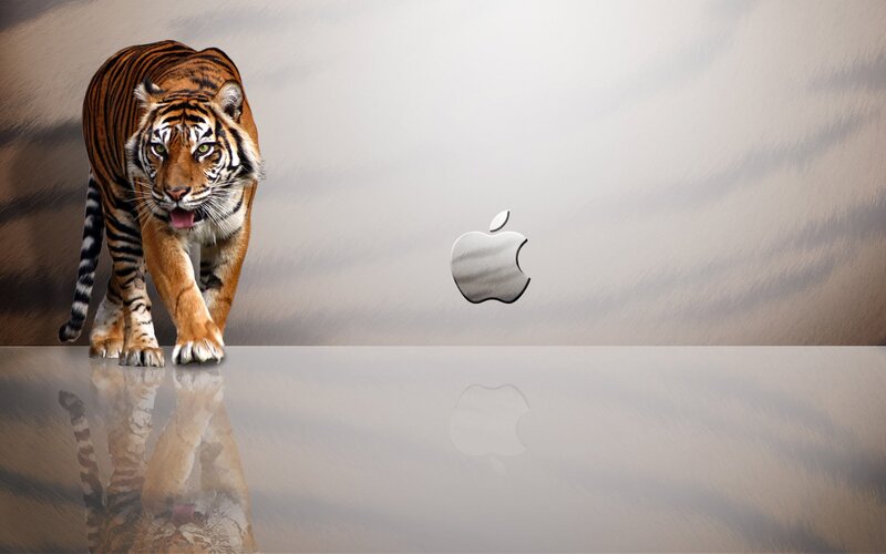 Tiger Walking on Reflective Surface — Orange, Dramatic, Digital Art