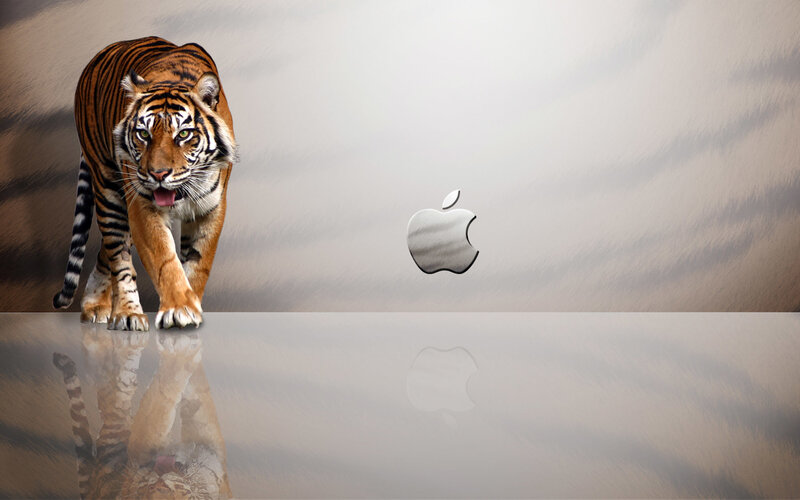 Tiger Walking on Reflective Surface — Orange, Dramatic