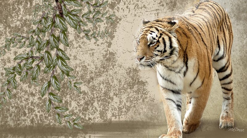 Tiger Walking on Textured Background