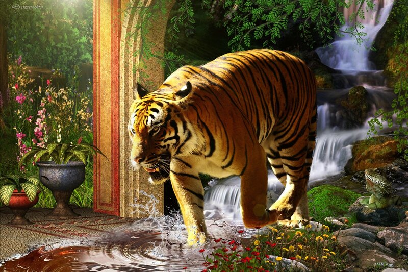 Tiger Walking Through Water — Orange