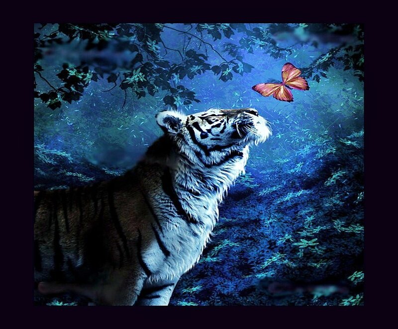 Tiger Watching Butterfly