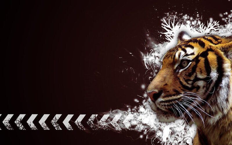 tiger with abstract background