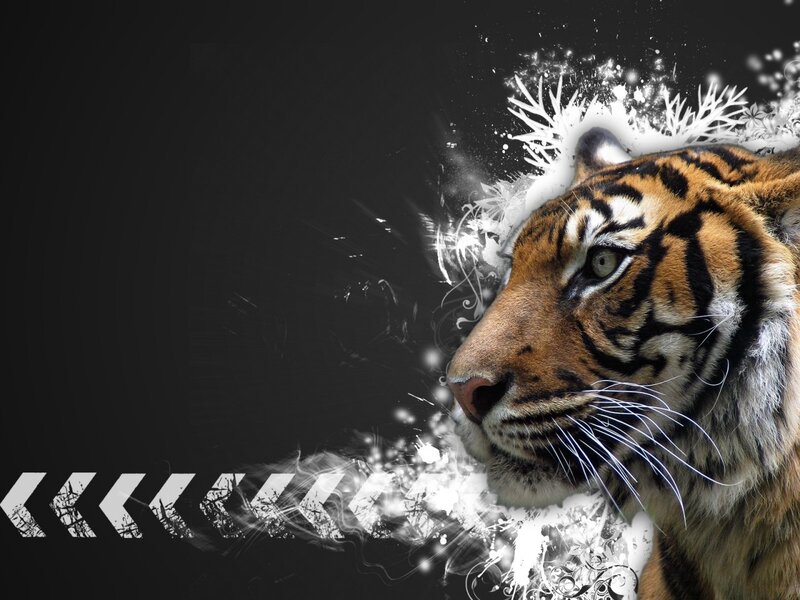 tiger with abstract design