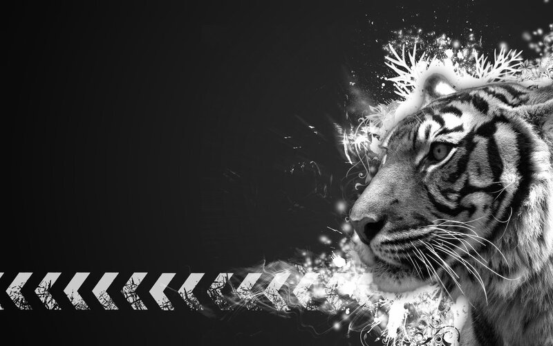 tiger with abstract effects