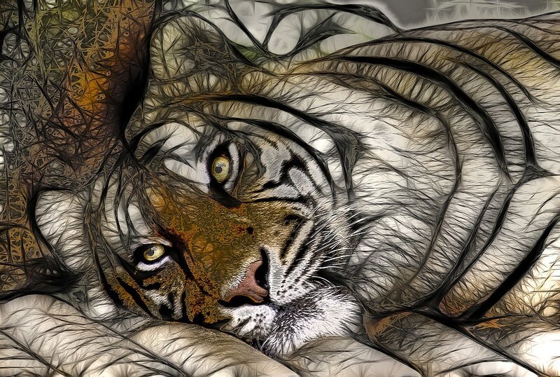 tiger with artistic filter