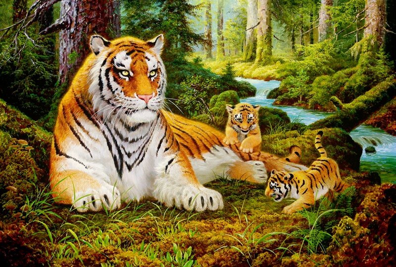 Tiger with Cubs — Orange