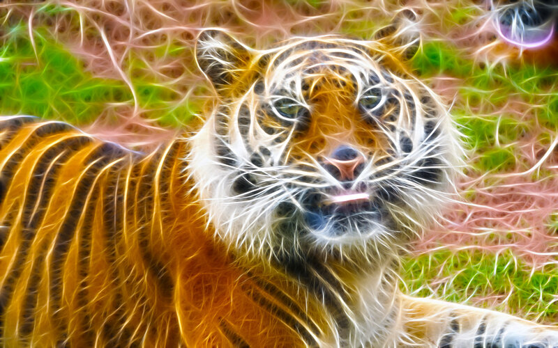 tiger with digital art effect