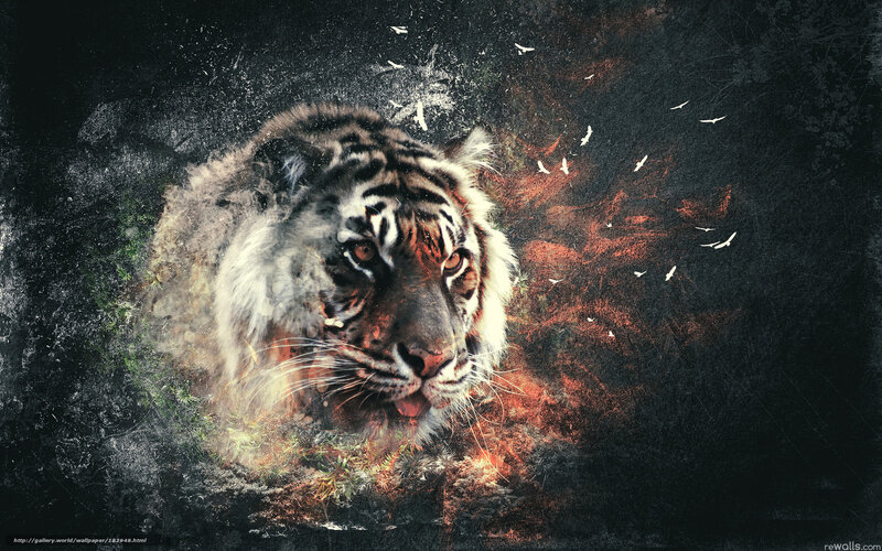 tiger with fiery aura