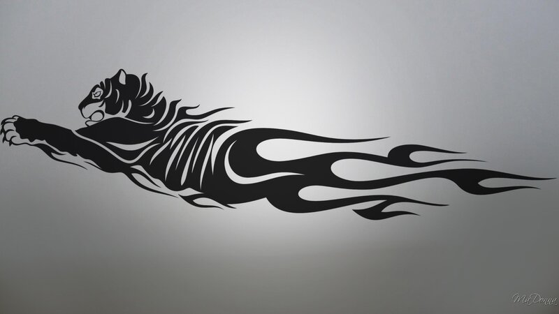 tiger with flame design