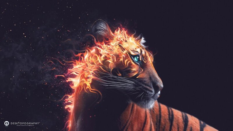 Tiger with Flames — Black, Dramatic, Night