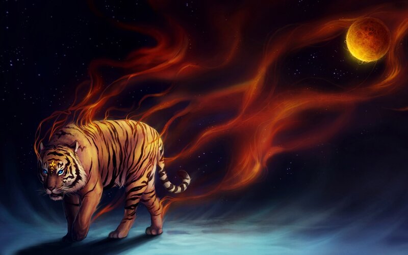 Tiger with Flames — Orange