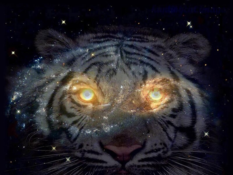 tiger with galaxy eyes